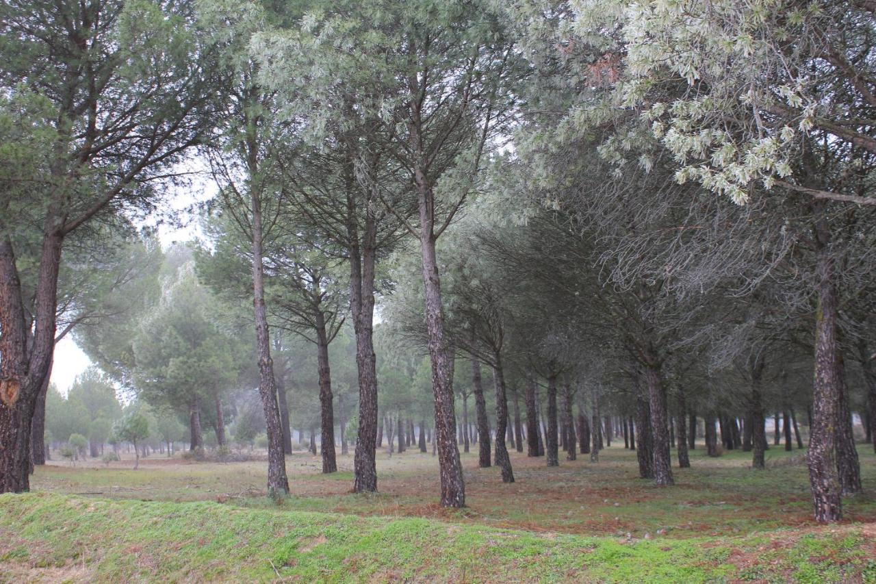 Las Gavias Matapozuelos Zewnętrze zdjęcie